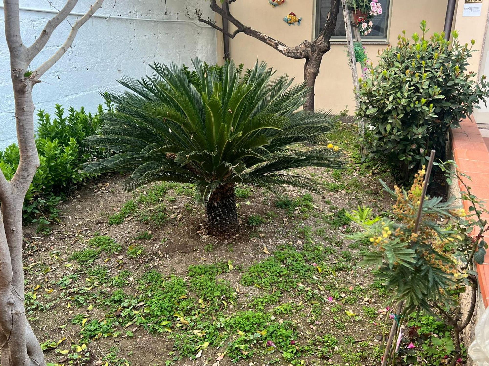 Nel Giardino Di Nunziatina Apartment Syracuse Exterior photo